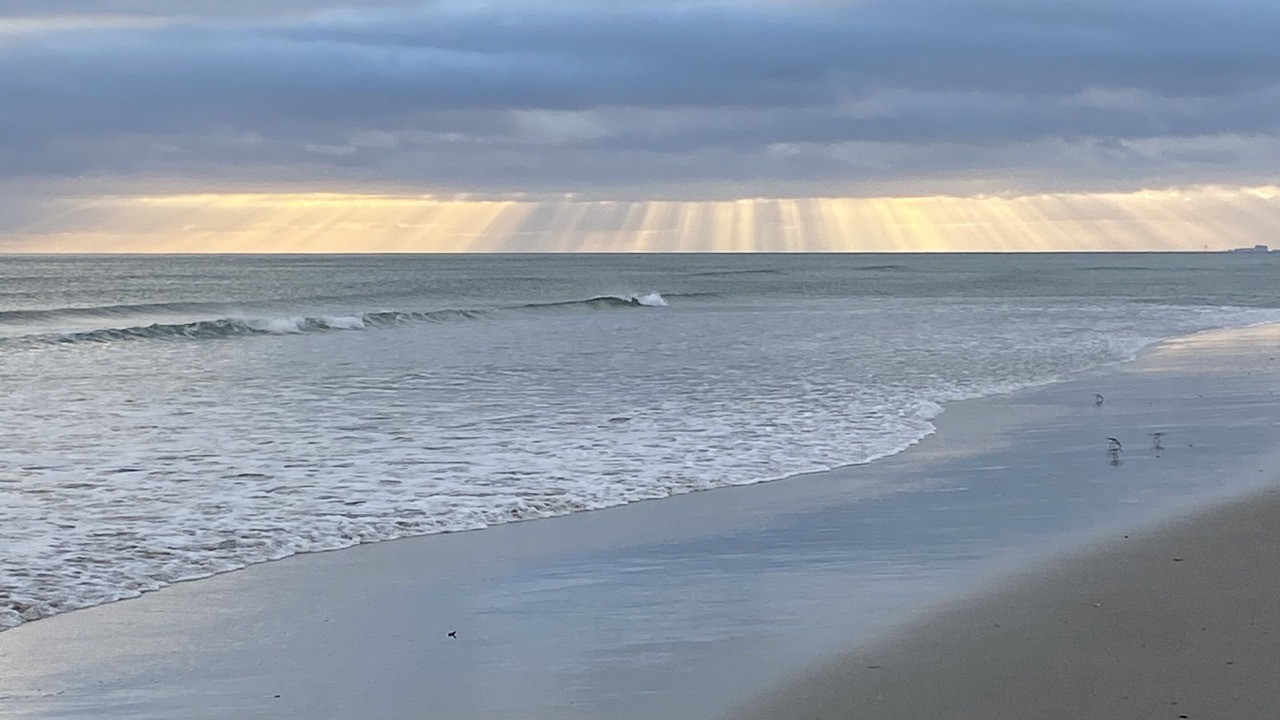Photo of Others in Morehead City