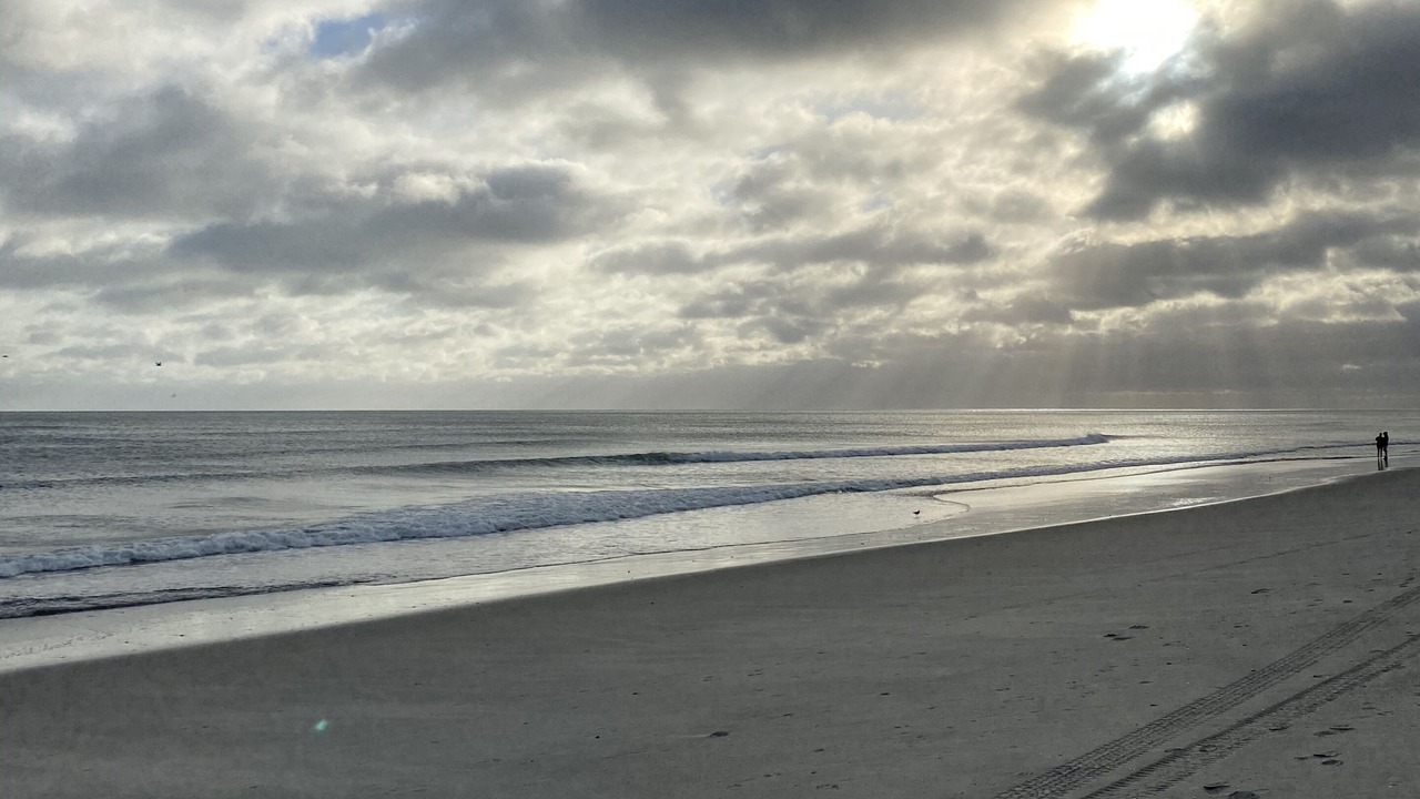 Photo of Others in Morehead City