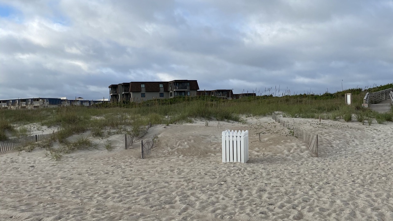 Photo of Others in Morehead City