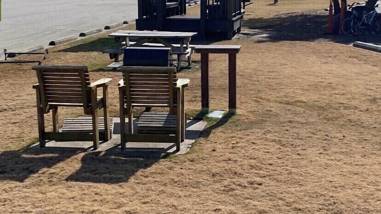 Photo of Outdoor in Morehead City