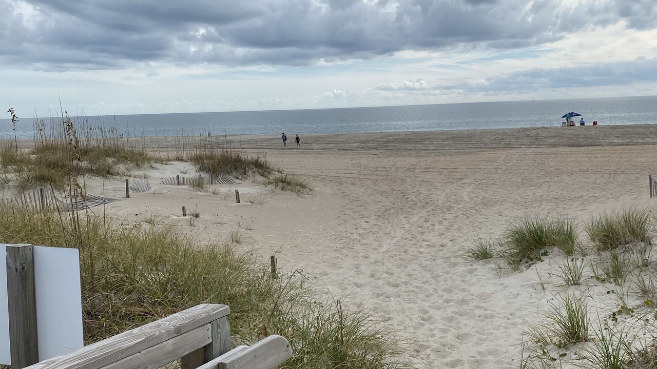Photo of Others in Morehead City