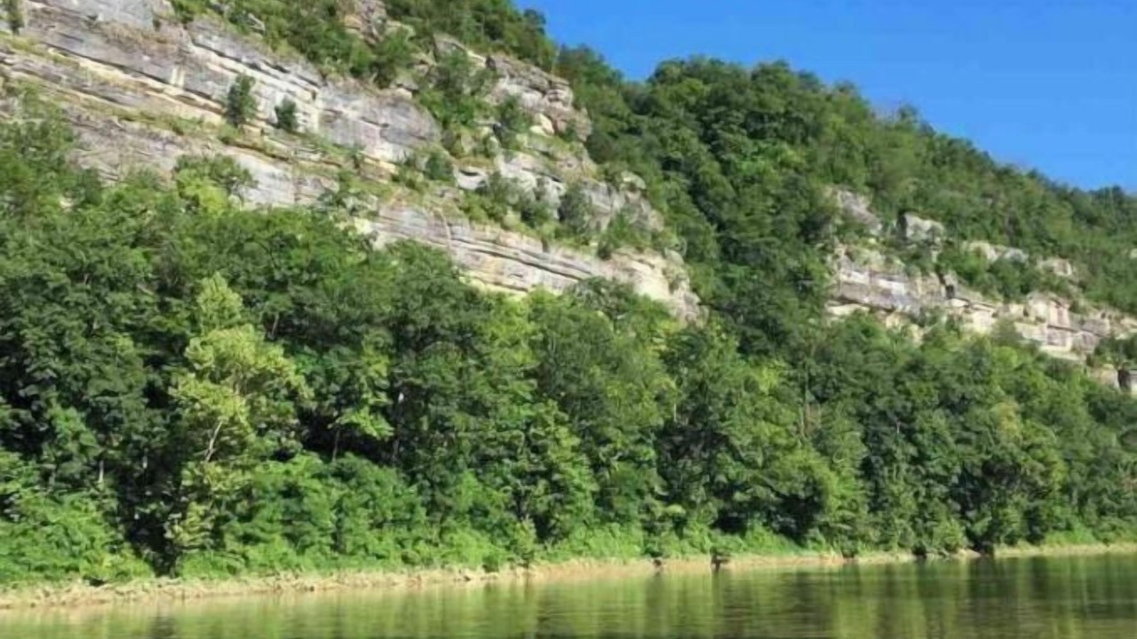 Photo of Outdoor in Nicholasville