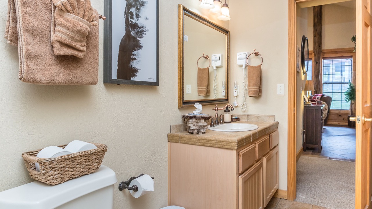 Photo of Bathroom in Branson Theater District