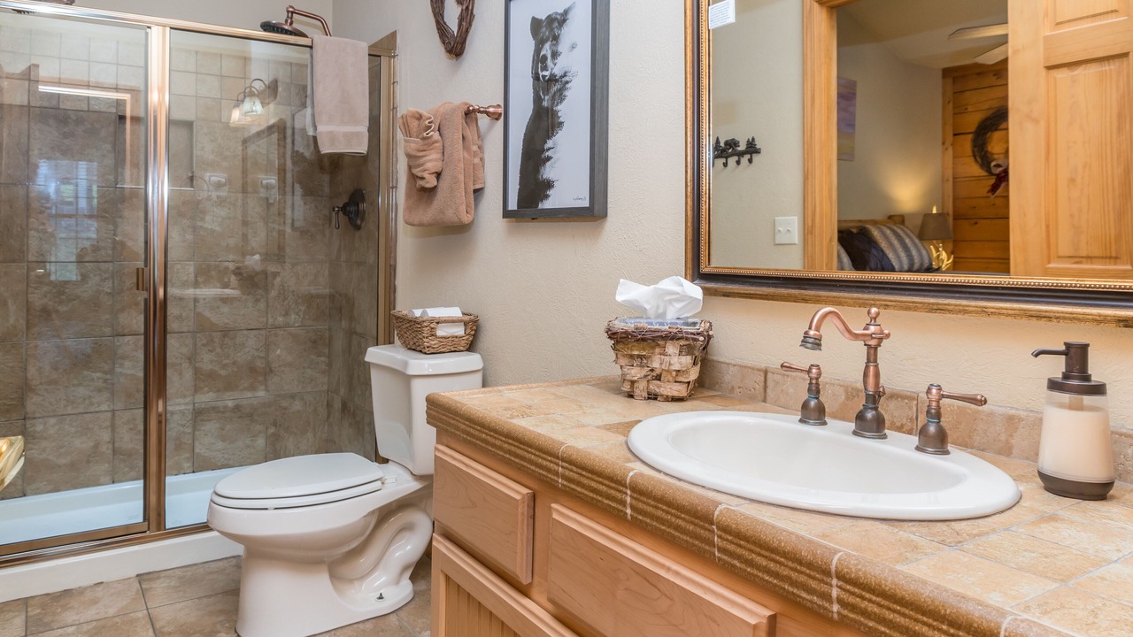 Photo of Bathroom in Branson Theater District