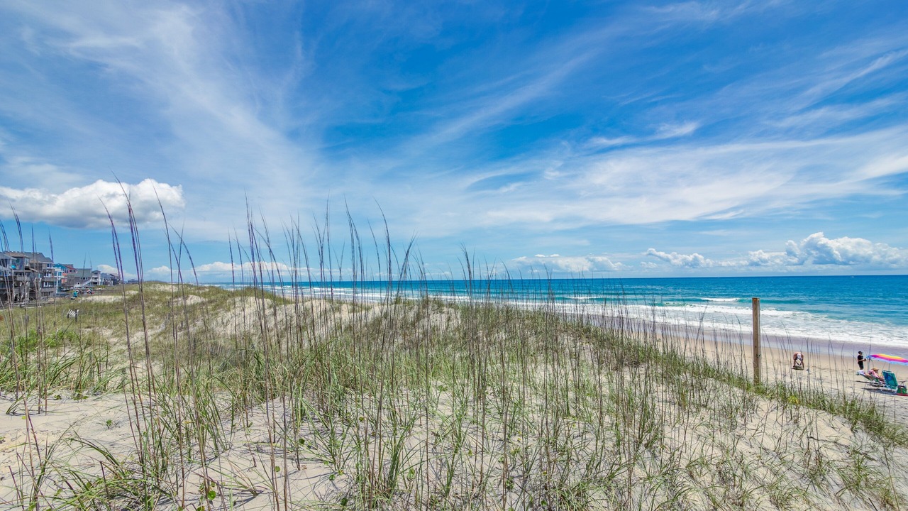 Photo of Others in Hatteras