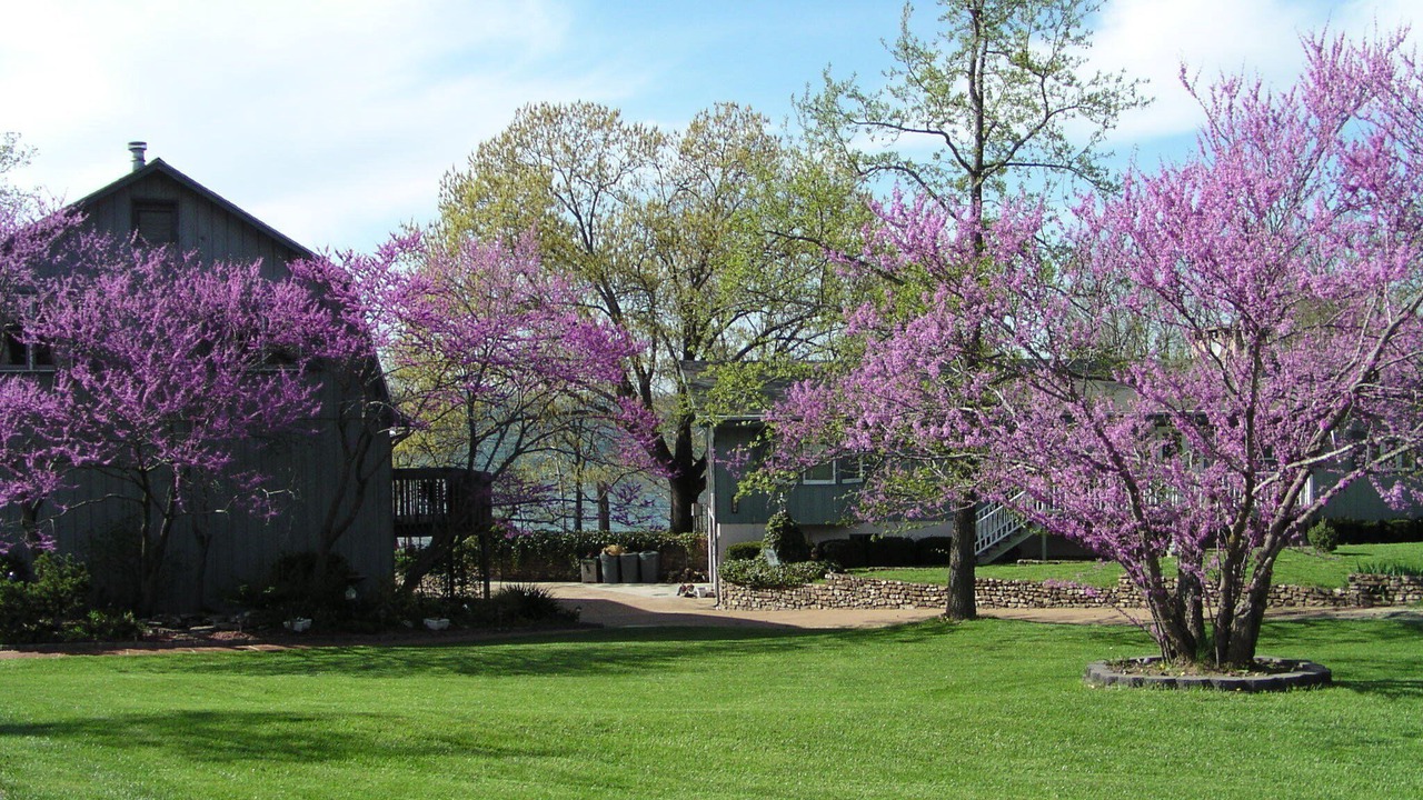 Photo of Outdoor in Big Cedars