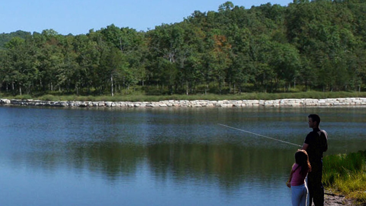 Photo of Outdoor in Reeds Spring
