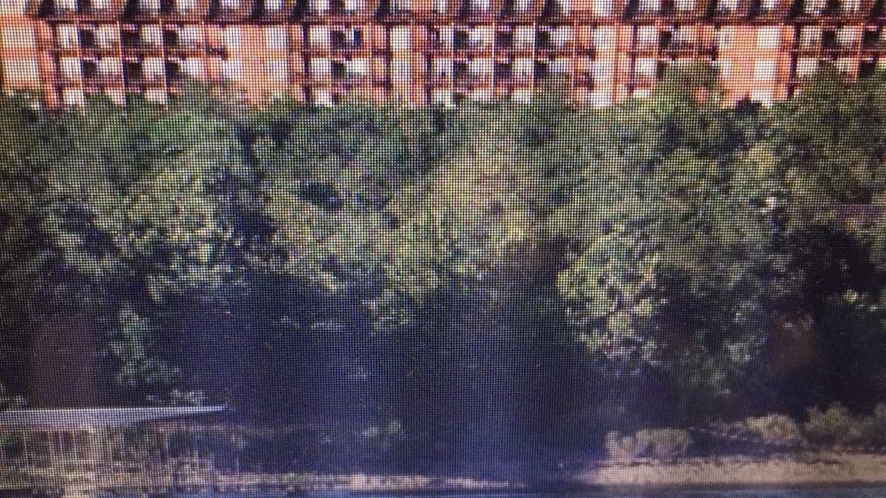 Photo of Outdoor in Big Cedars
