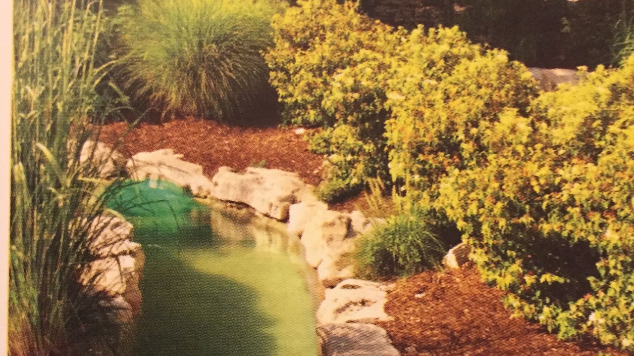 Photo of Outdoor in Big Cedars