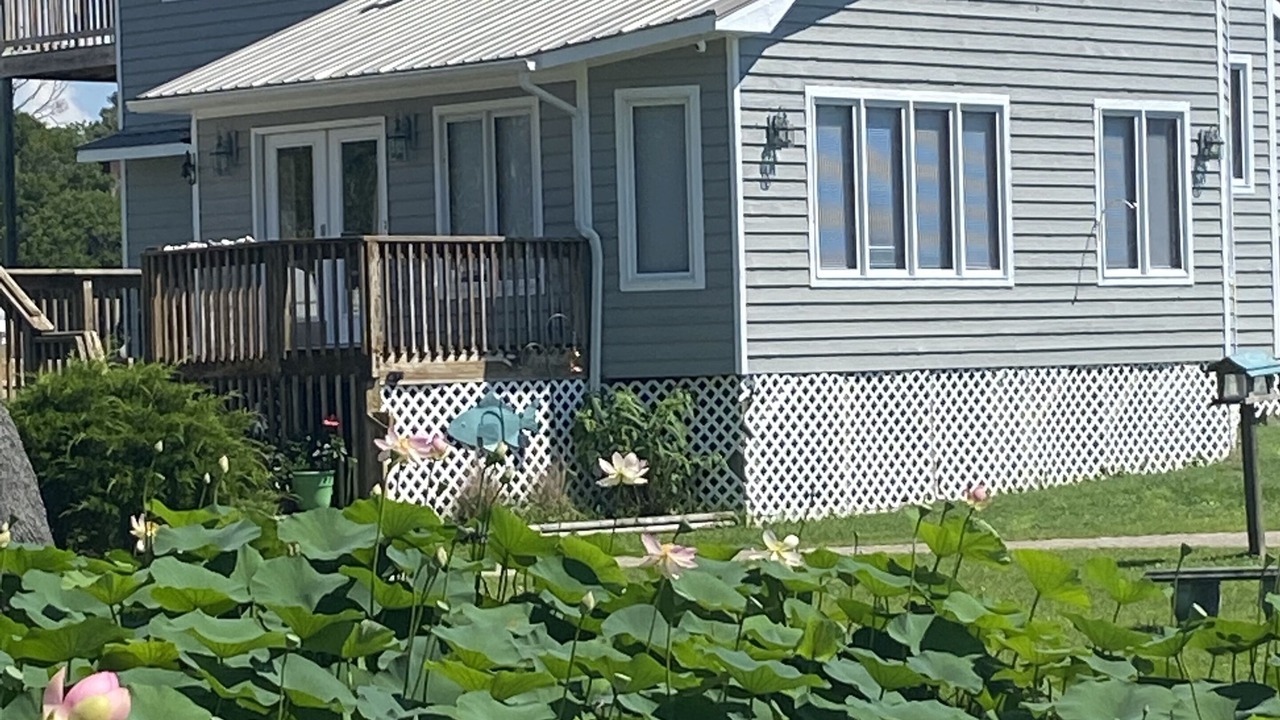 Photo of Outdoor in Emerald Isle