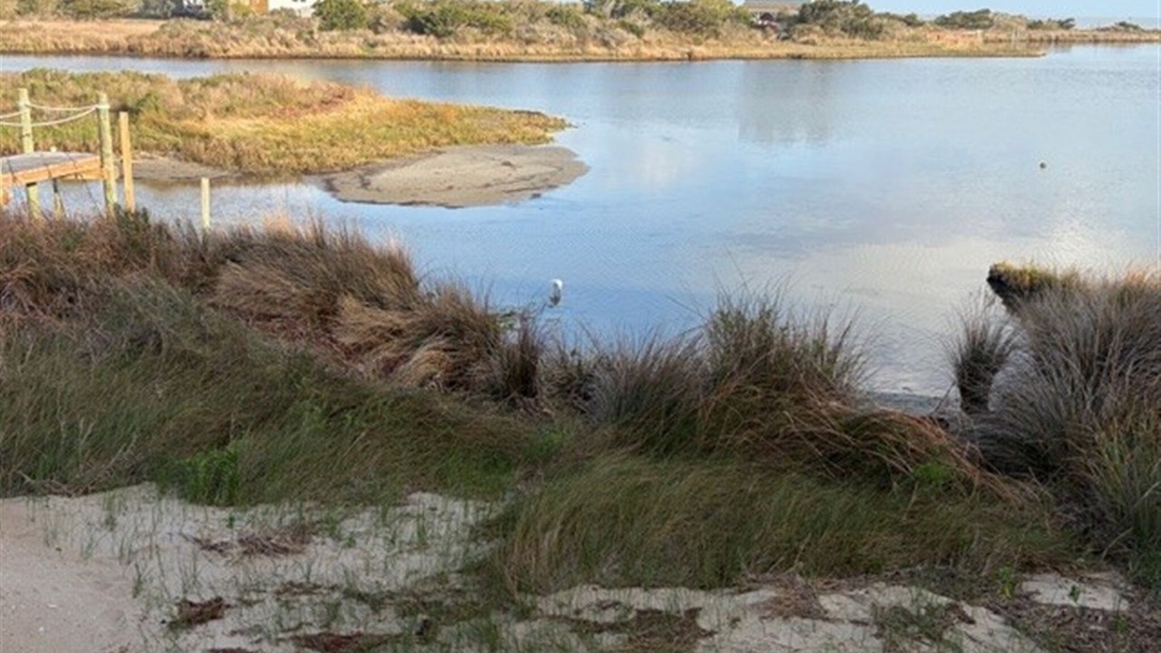 Photo of Others in Hatteras