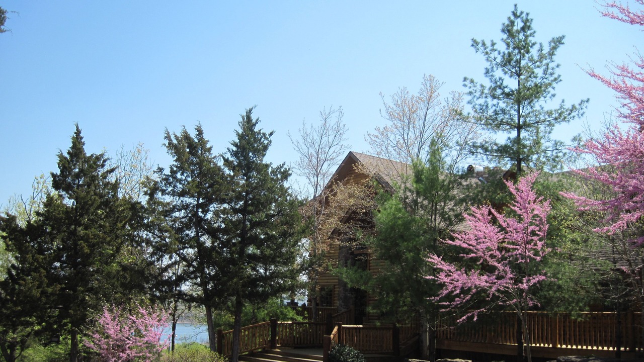 Photo of Outdoor in Indian Point