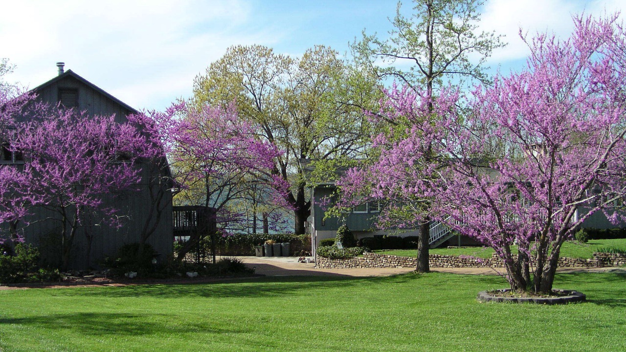 Photo of Outdoor in Big Cedars