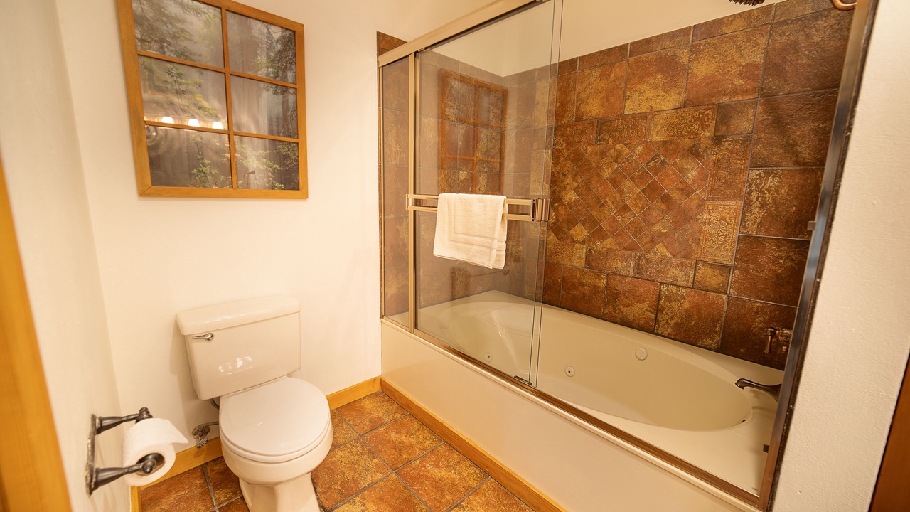 Photo of Bathroom in Branson Theater District