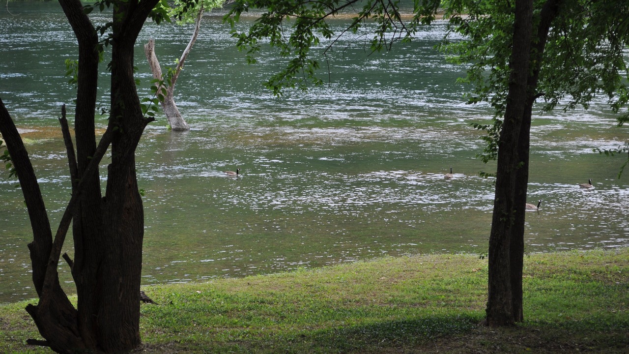 Photo of Outdoor in Table Rock