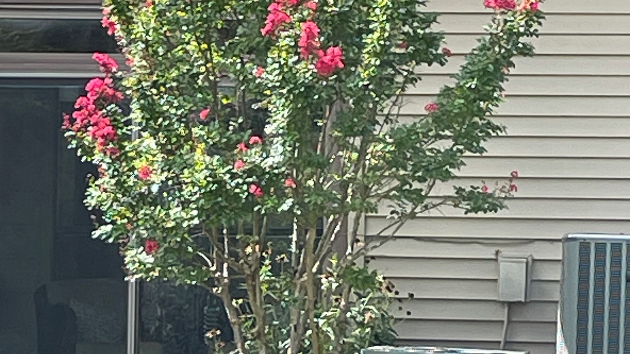 Photo of Outdoor in Table Rock