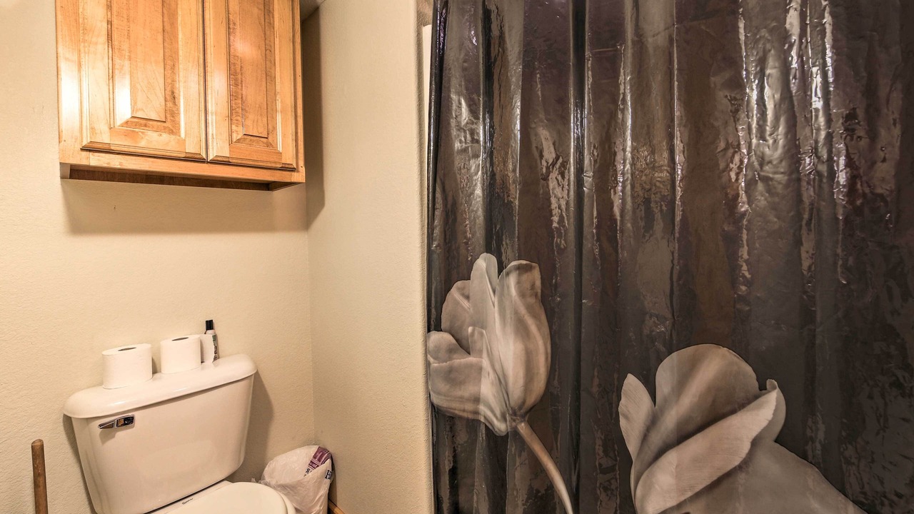 Photo of Bathroom in Shell Knob