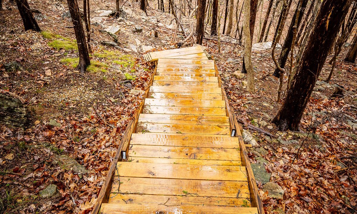 Photo of Outdoor in Branson