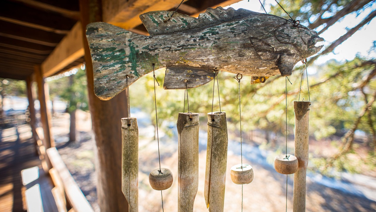 Photo of Outdoor in Branson