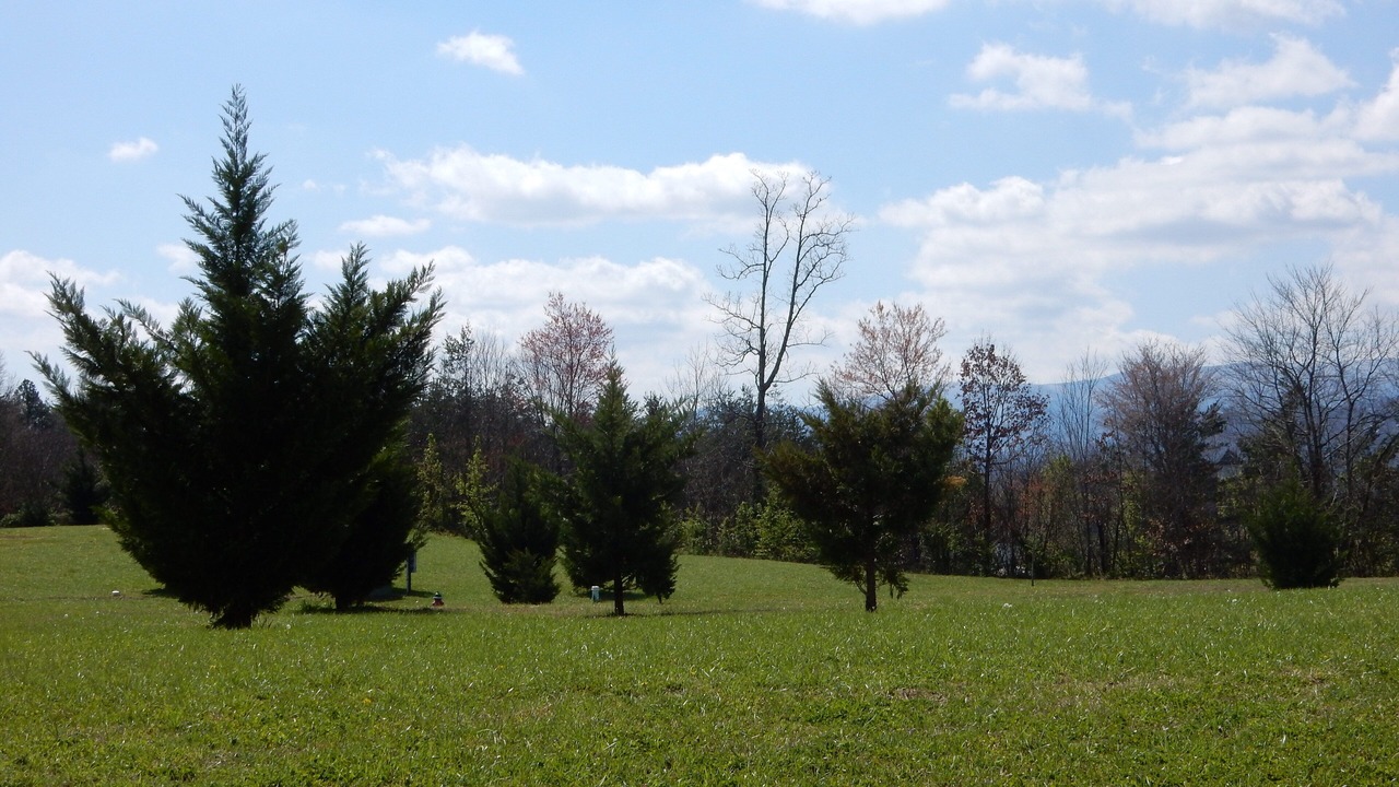 Photo of Others in Pigeon Forge