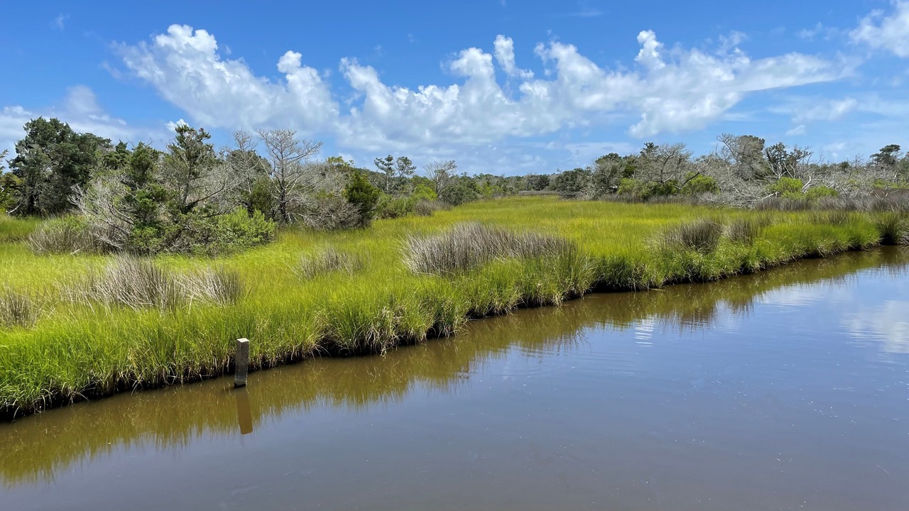 Photo of Outdoor in Ocracoke
