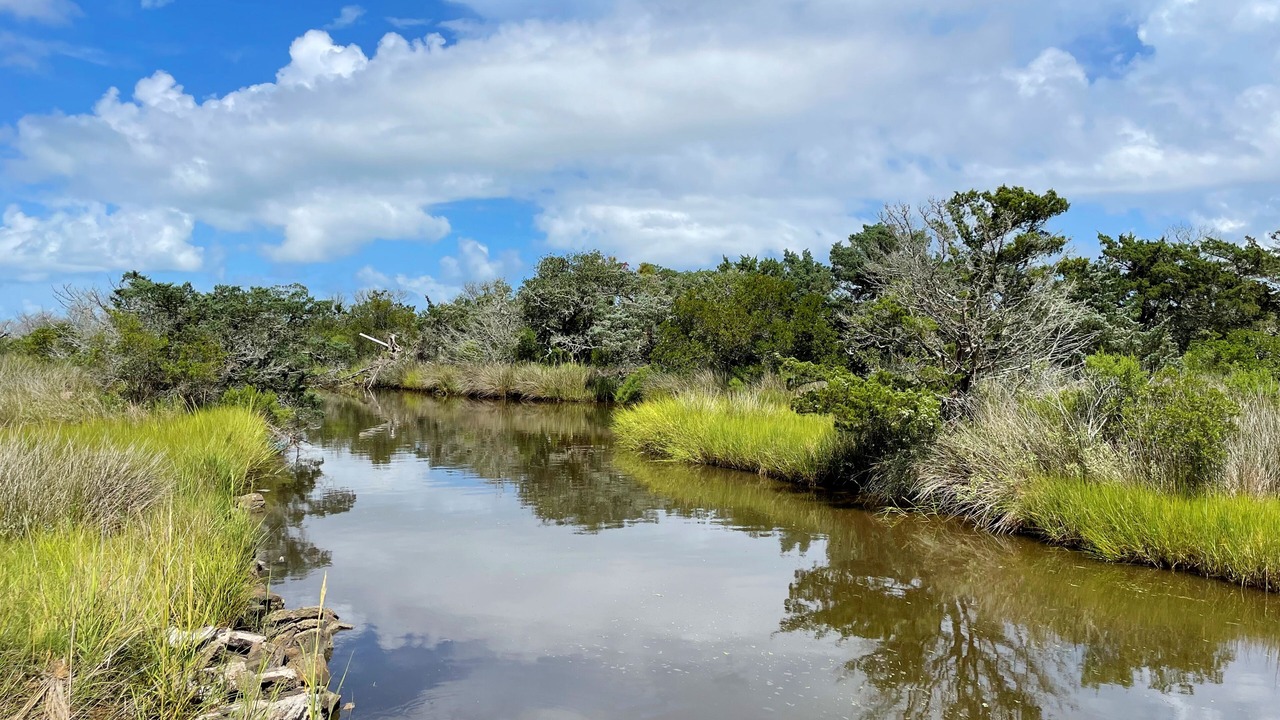 Photo of Others in Ocracoke