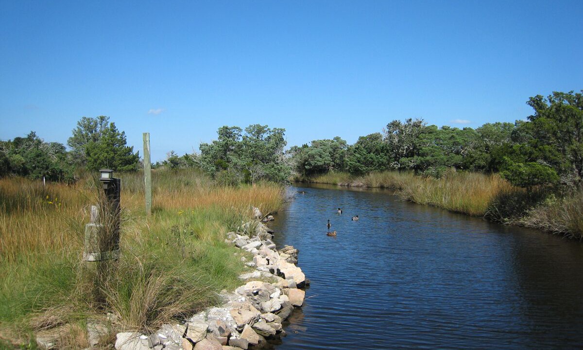 Photo of Others in Ocracoke