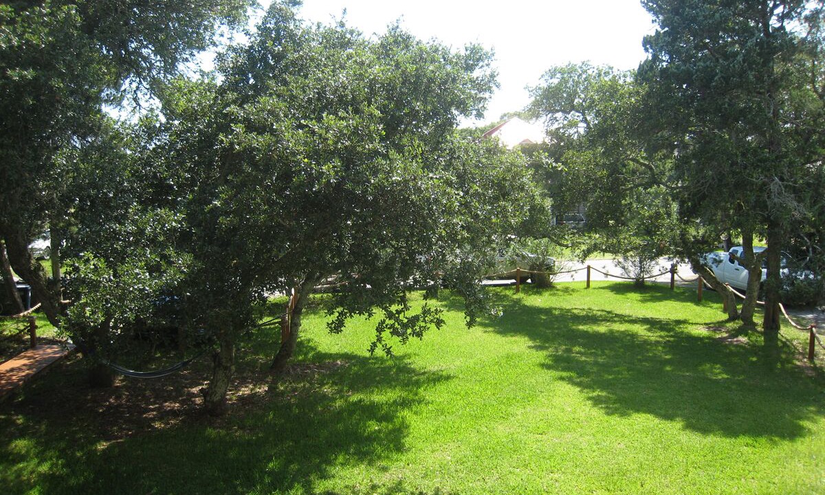 Photo of Others in Ocracoke