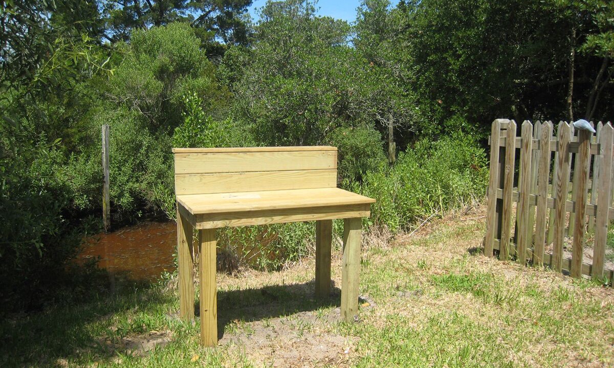 Photo of Others in Ocracoke