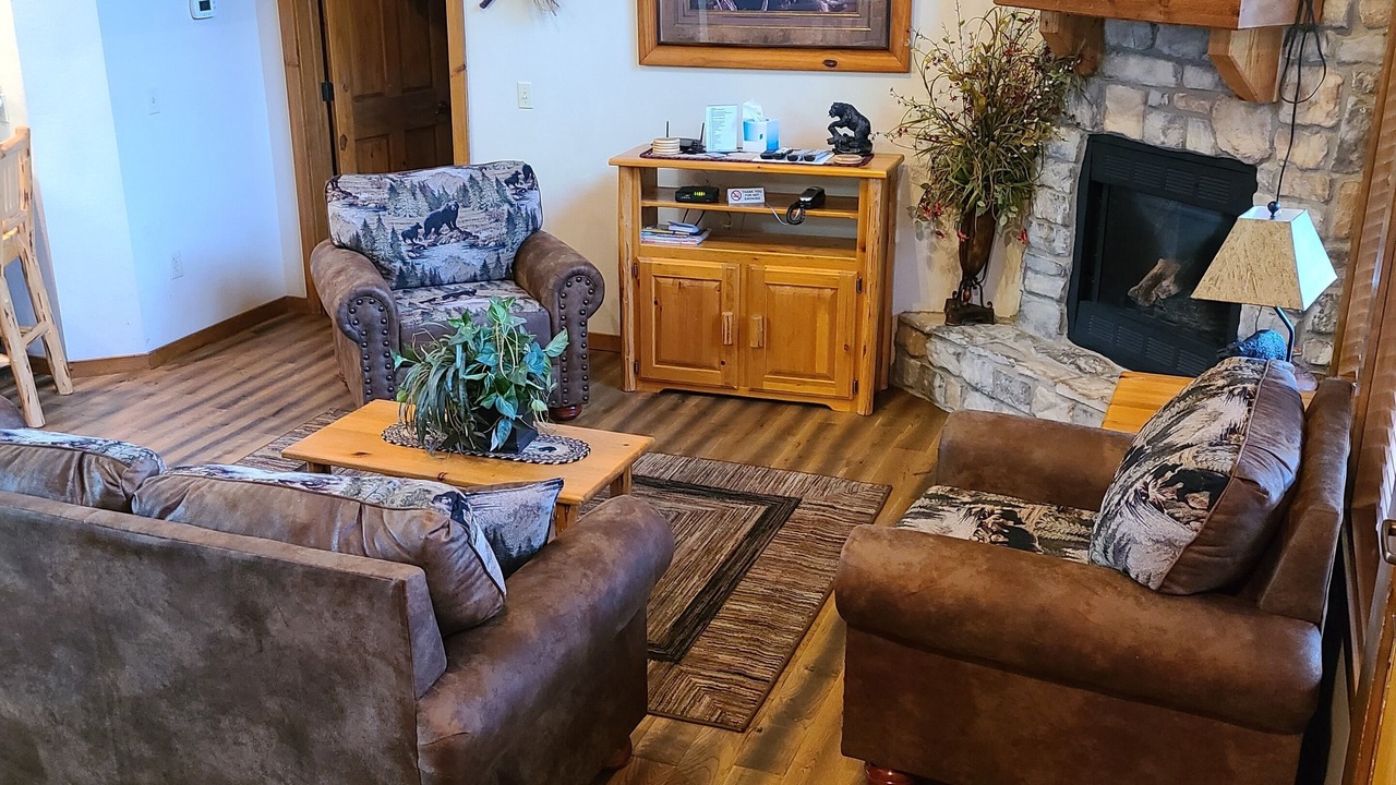 Photo of Livingroom in Indian Point