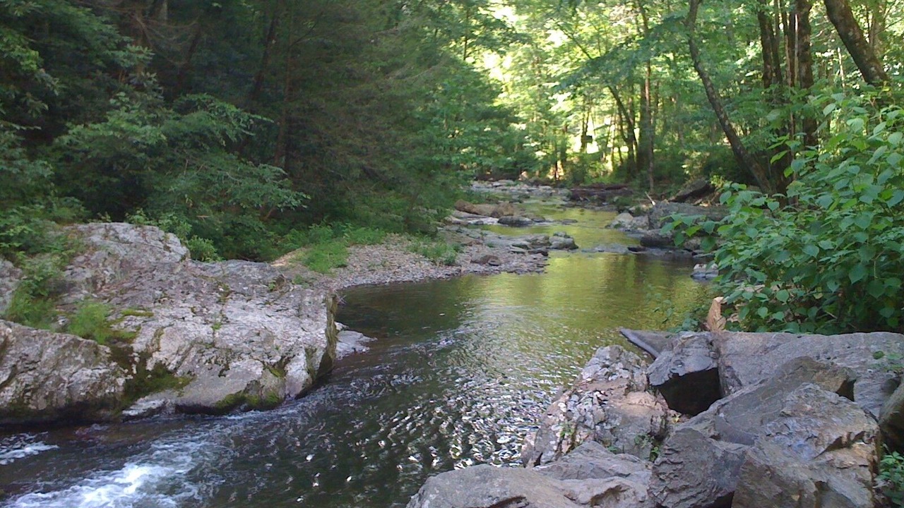 Photo of Others in Townsend