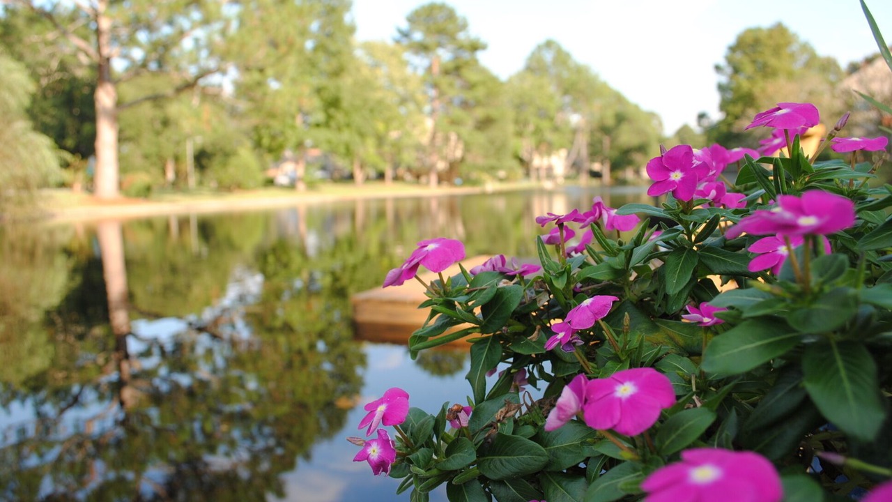 Photo of Outdoor in River Bend