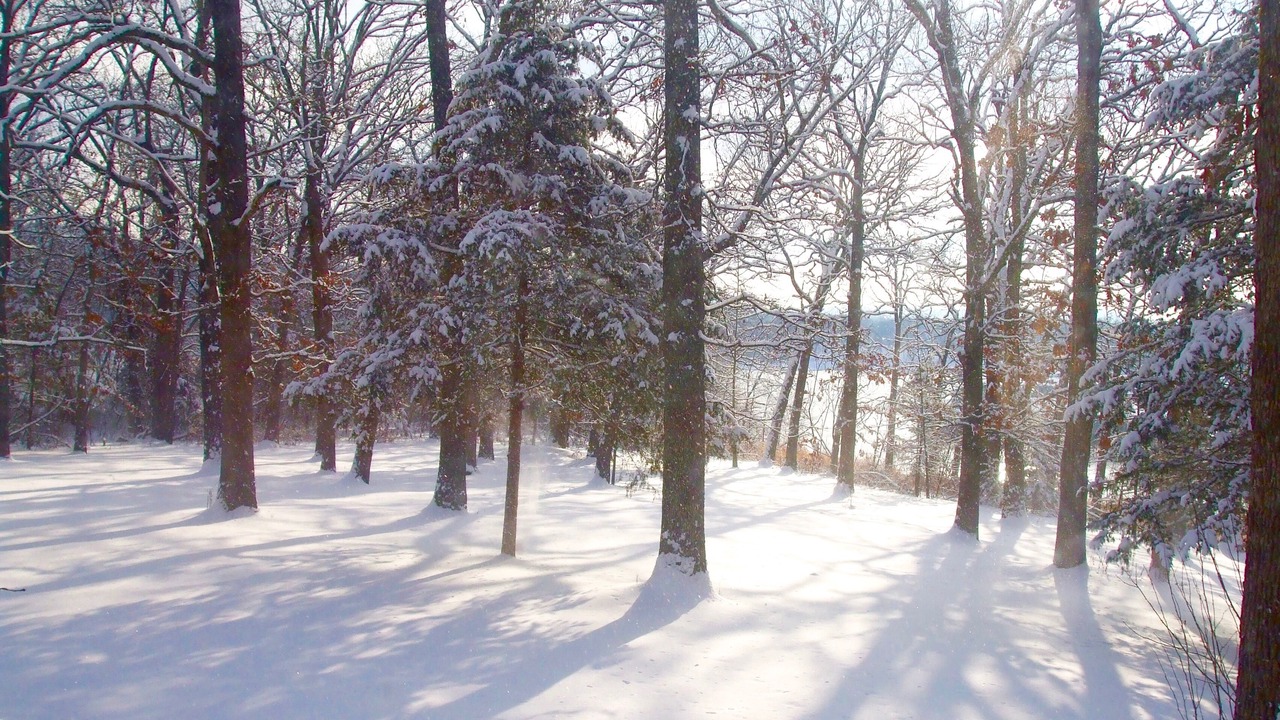 Photo of Outdoor in Kimberling City