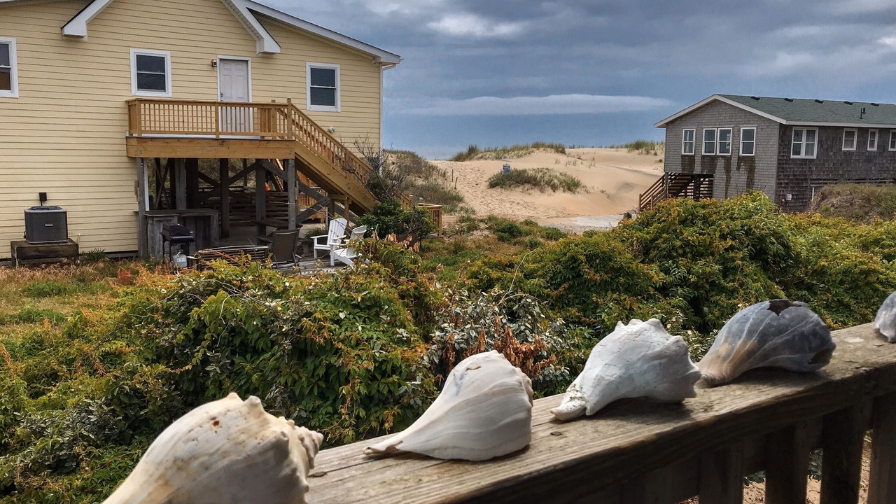 Photo of Others in South Nags Head