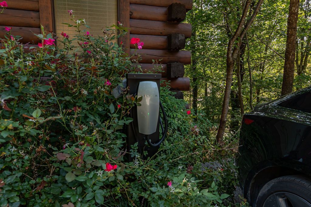 Photo of Outdoor in Branson Cedars