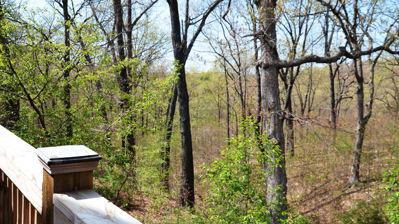 Photo of Outdoor in Branson Cedars