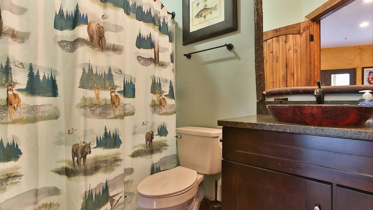 Photo of Bathroom in Branson
