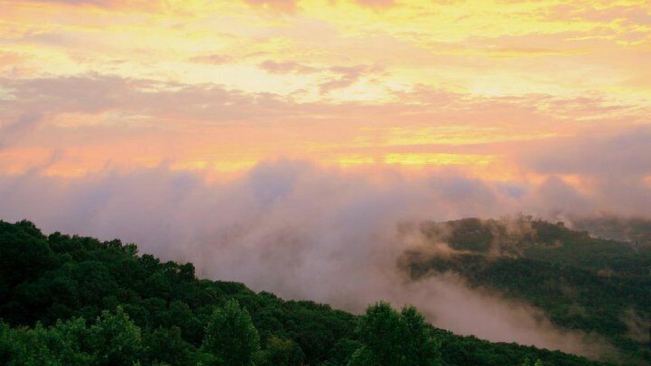 Photo of Others in Hiawassee