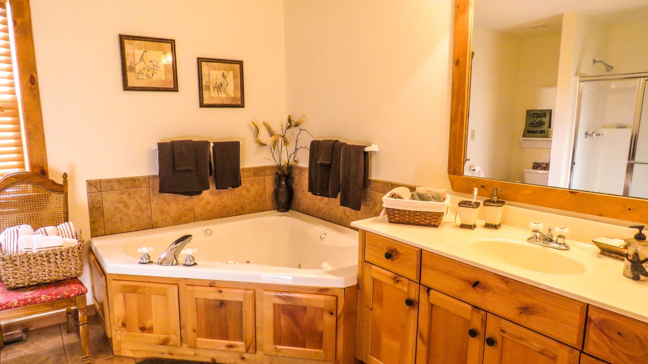 Photo of Bathroom in Reeds Spring