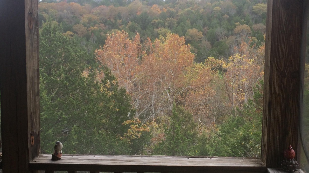 Photo of Others in Reeds Spring
