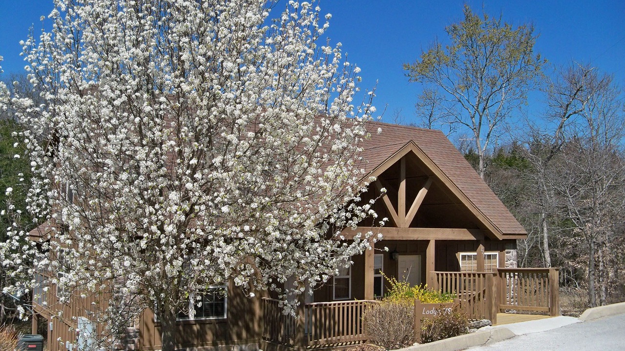 Photo of Outdoor in Reeds Spring