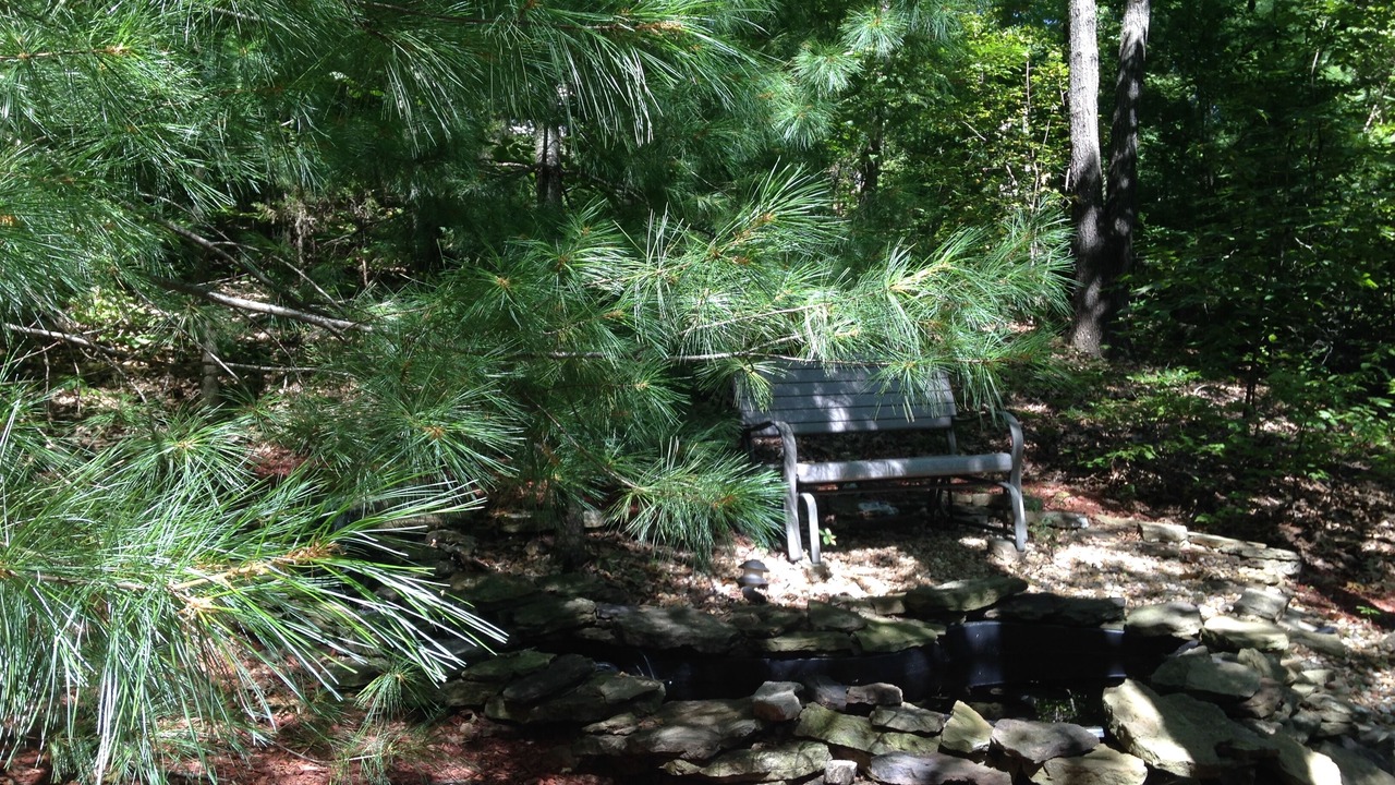Photo of Outdoor in Kimberling City