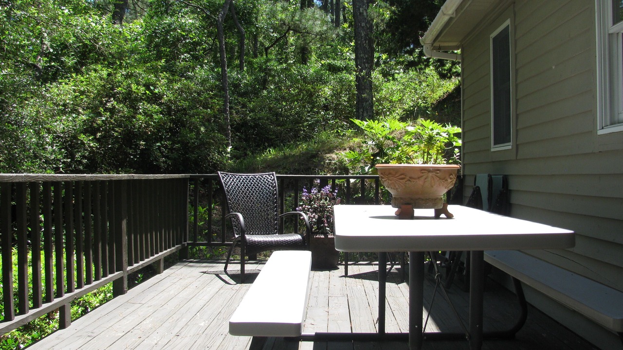Photo of Outdoor in Manteo
