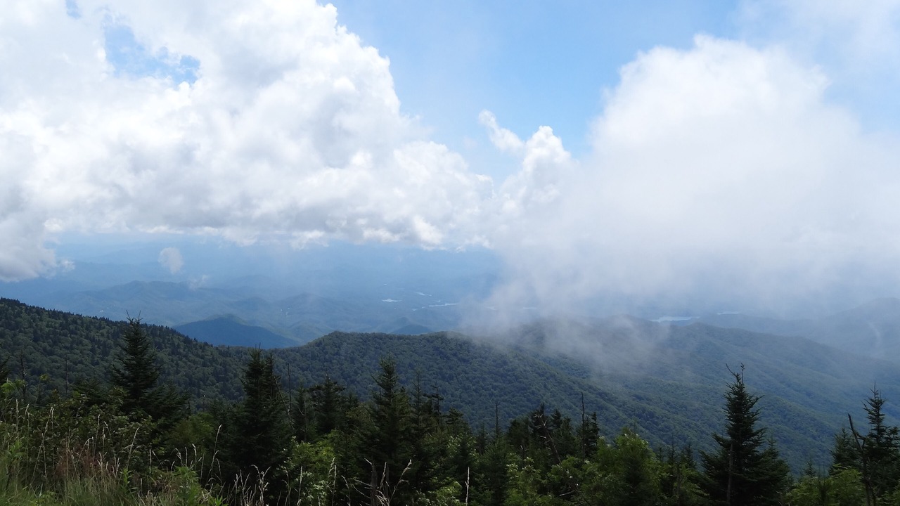 Photo of Others in Gatlinburg