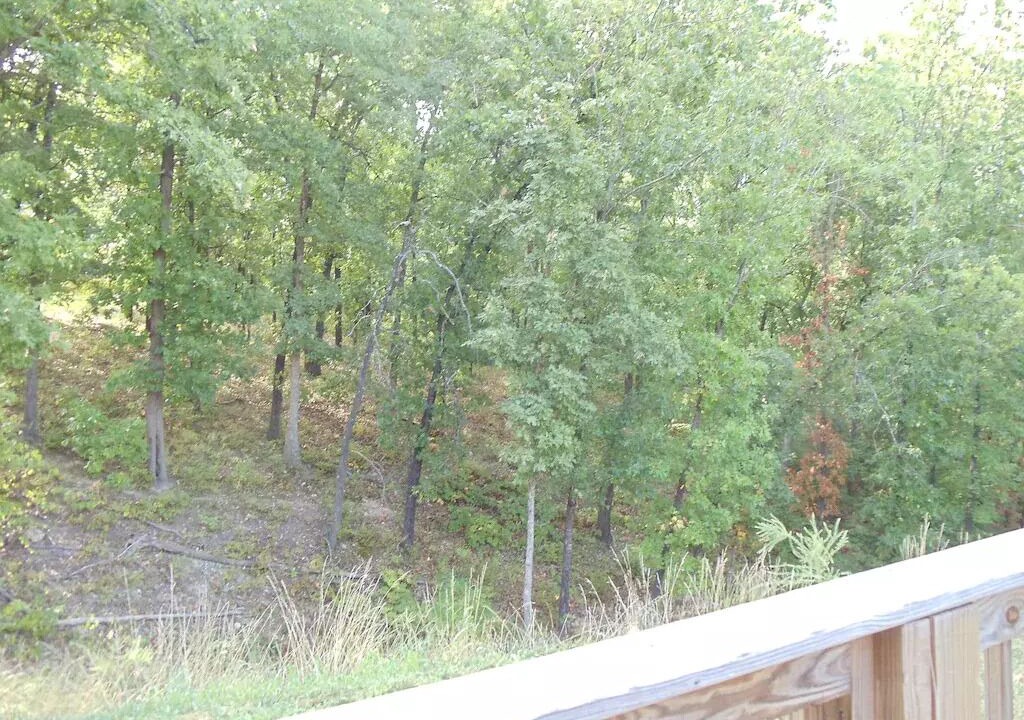 Photo of Others in Branson Cedars