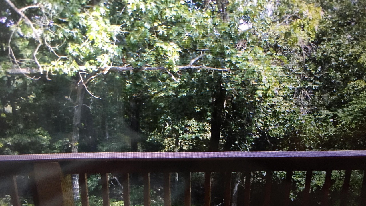 Photo of Outdoor in Ridgedale