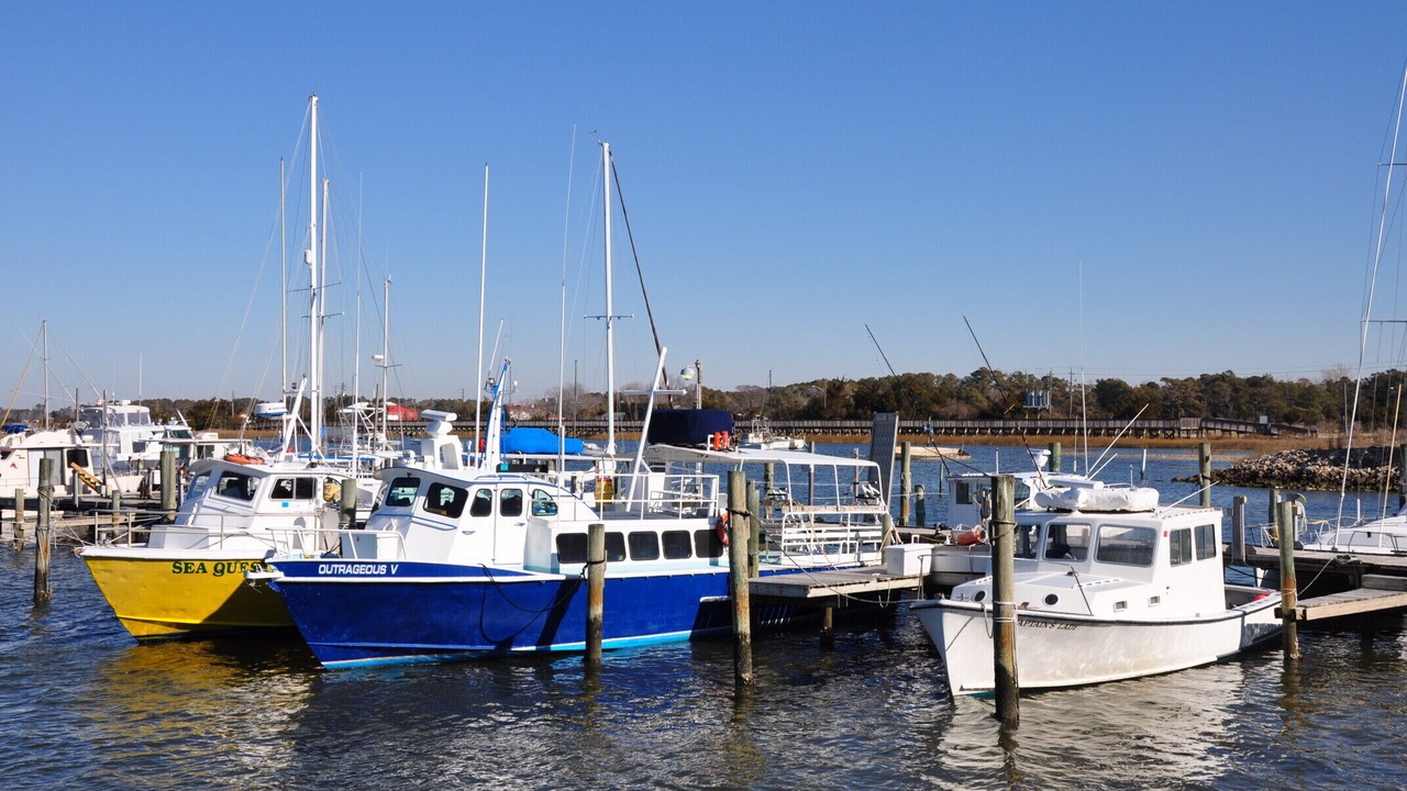 Photo of Others in Morehead City