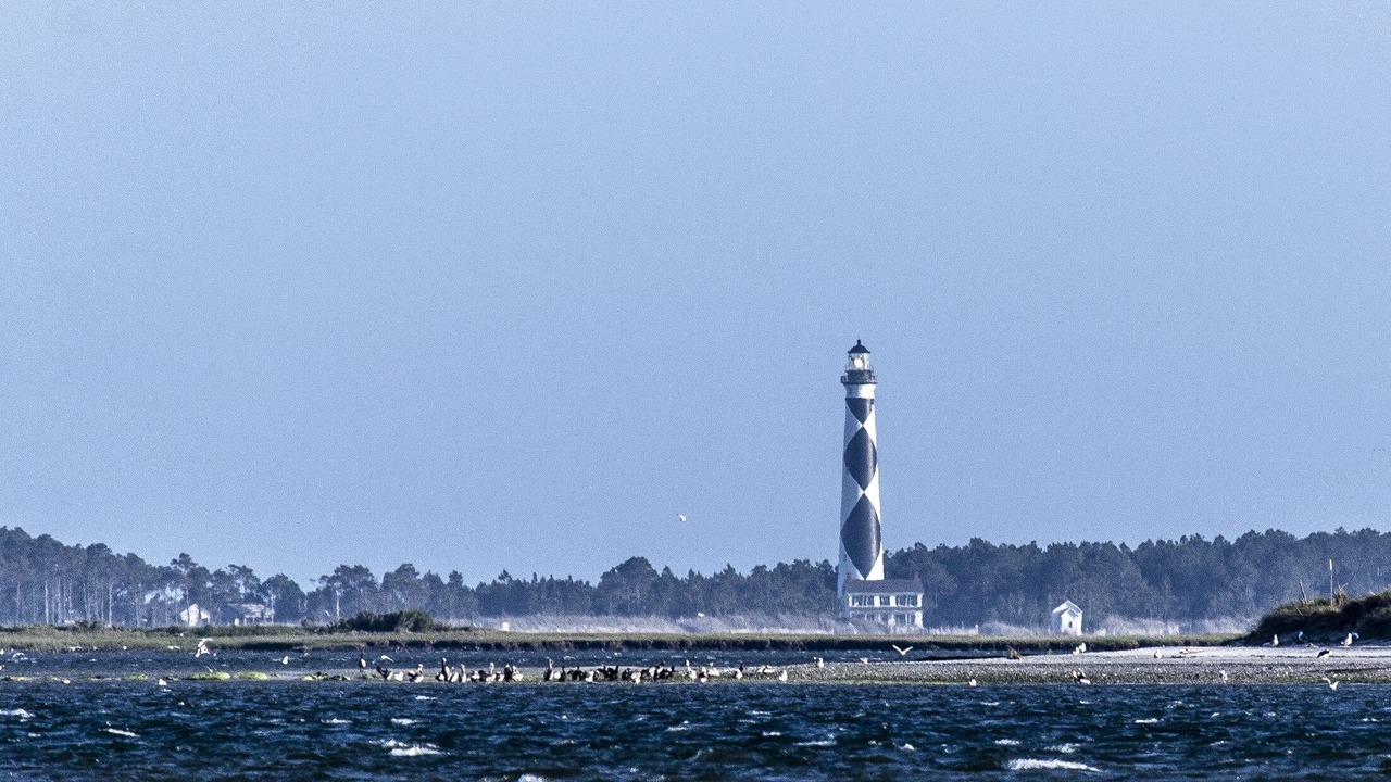 Photo of Others in Morehead City