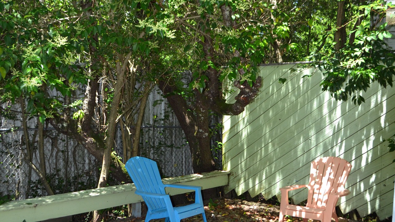 Photo of Others in Morehead City