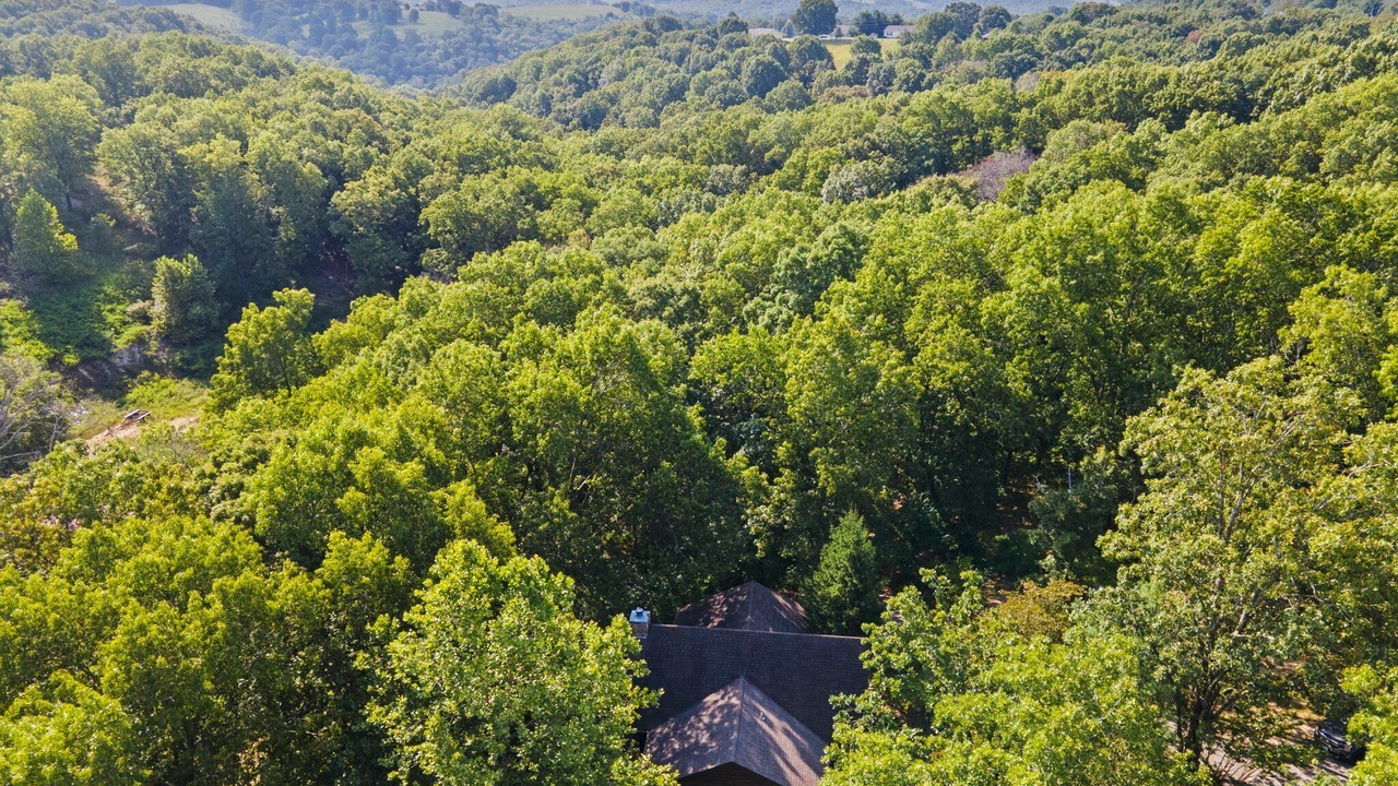 Photo of Outdoor in Branson Cedars